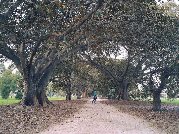 17991475_10155087684675185_7817316136133739251_o